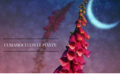 CURIAMOCI CON LE PIANTE