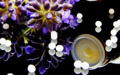 DEFINIZIONE DI OMEOPATIA