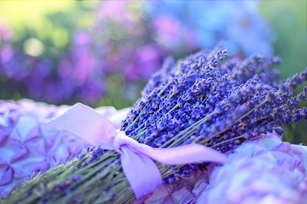 Lavanda : con il suo olio essenziale l’ansia “vola via”.